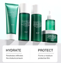 Pure Centella Skincare Trio